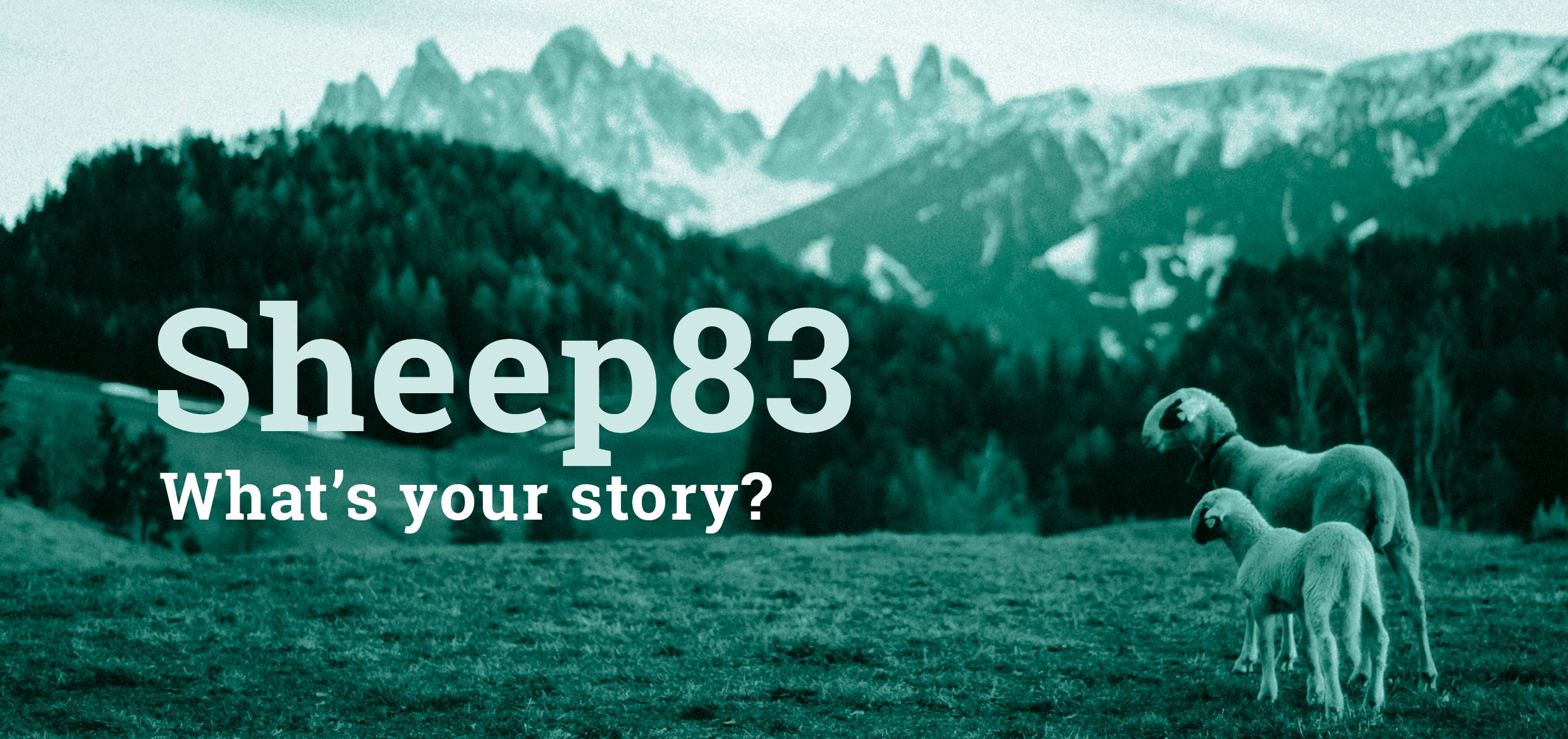 Titelbild Projekt Sheep83